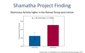 shamatha project