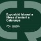 Exposició laboral a les fibres d'amiant a Catalunya